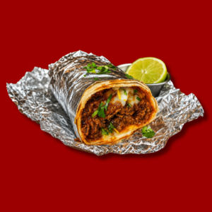 Birria Burrito